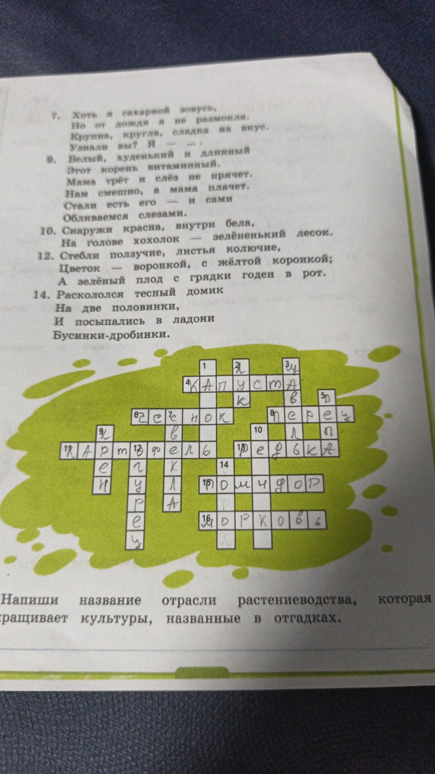 Изображение задачи: 