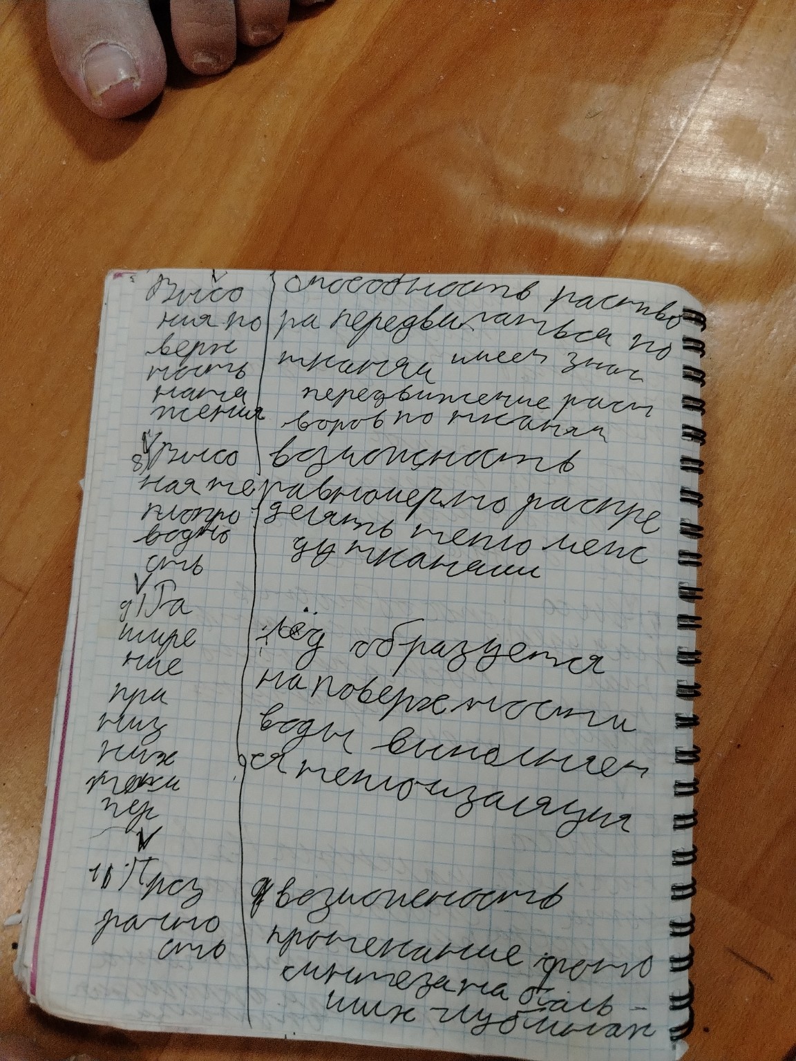 Изображение задачи: Напиши текст