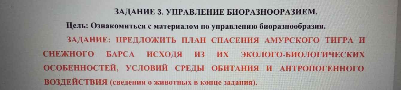 Изображение задачи: Заполнить таблицу