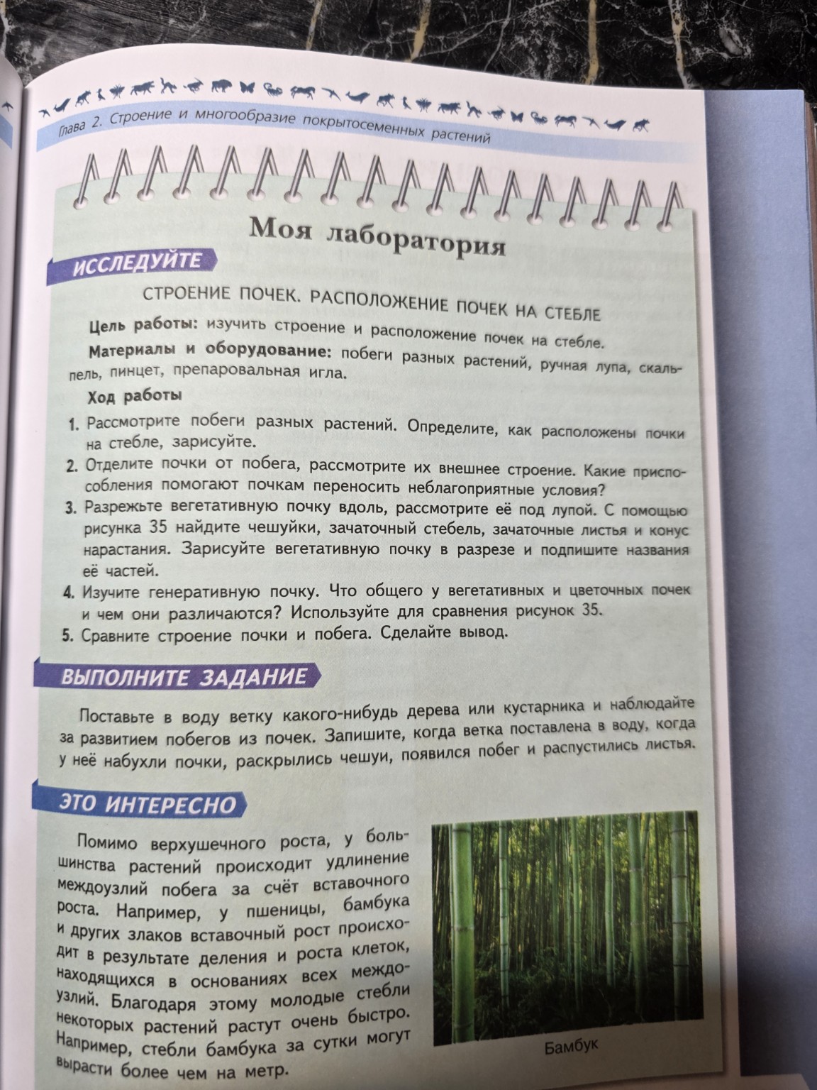 Изображение задачи: Выполни лаб работу