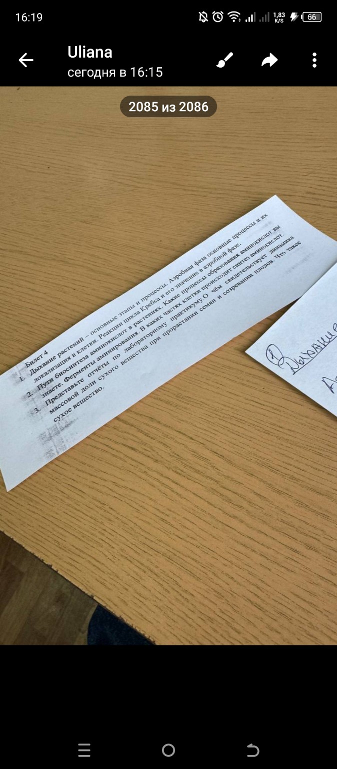 Изображение задачи: Реши задачу: Фотосинтетические пигменты растений Р