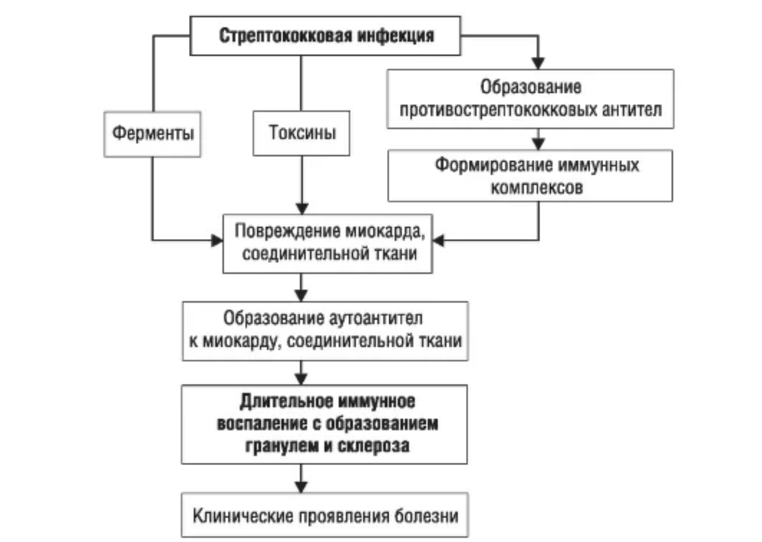 Изображение задачи: 1.8 Патогенез.
Входные ворота - слизистые оболочки