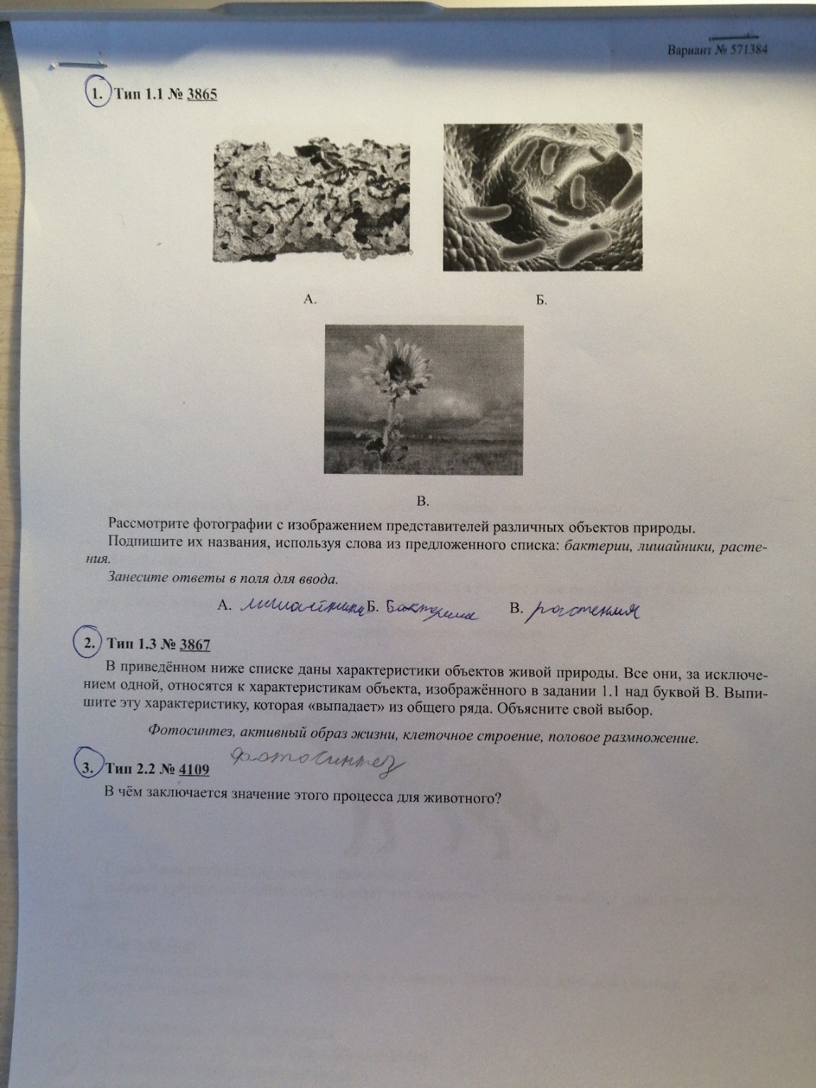 Изображение задачи: 