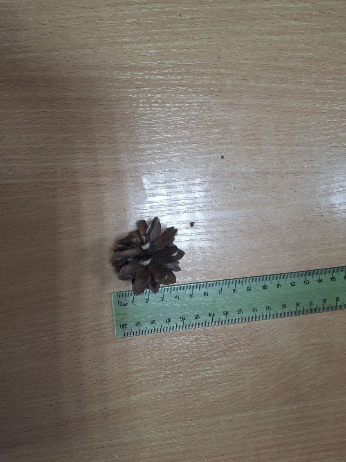 Изображение задачи: Реши задачу: сделай лабораторную работу 7 класс би