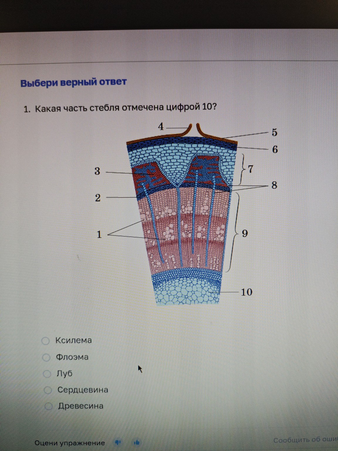 Изображение задачи: 