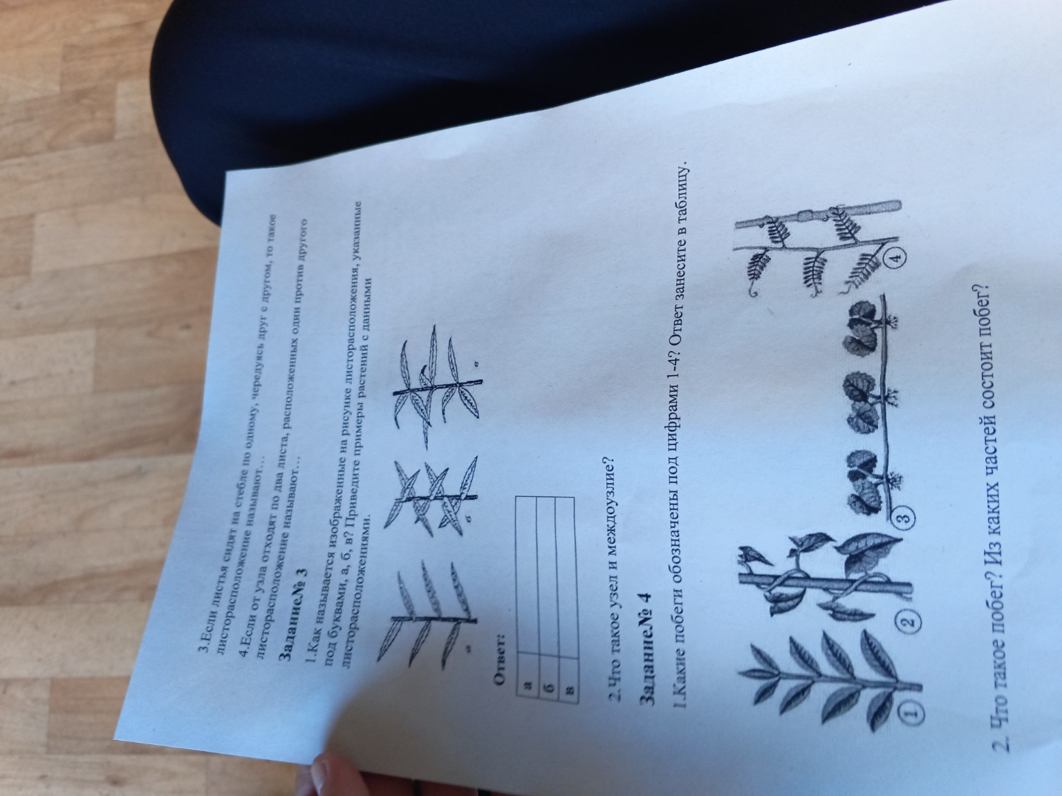 Изображение задачи: 