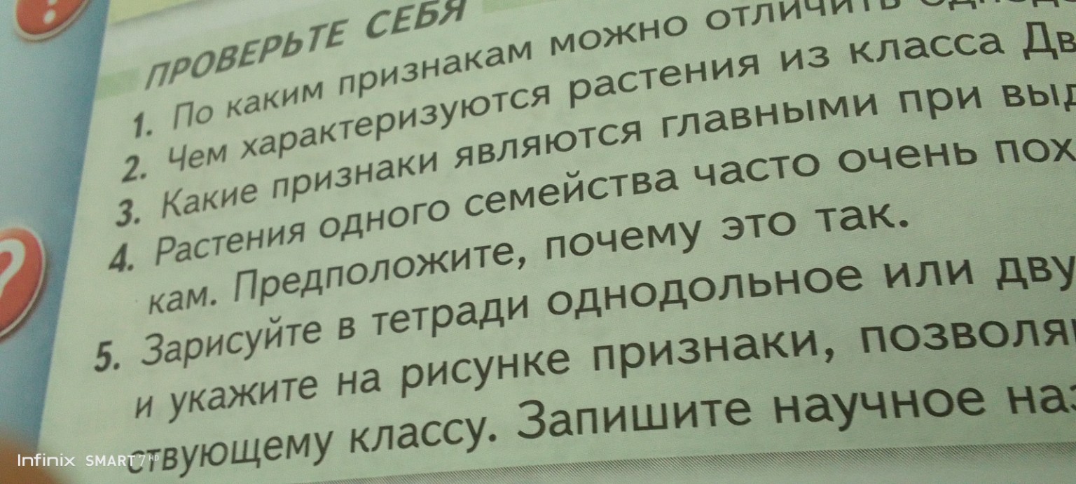 Изображение задачи: Реши задачу: Кратко реши