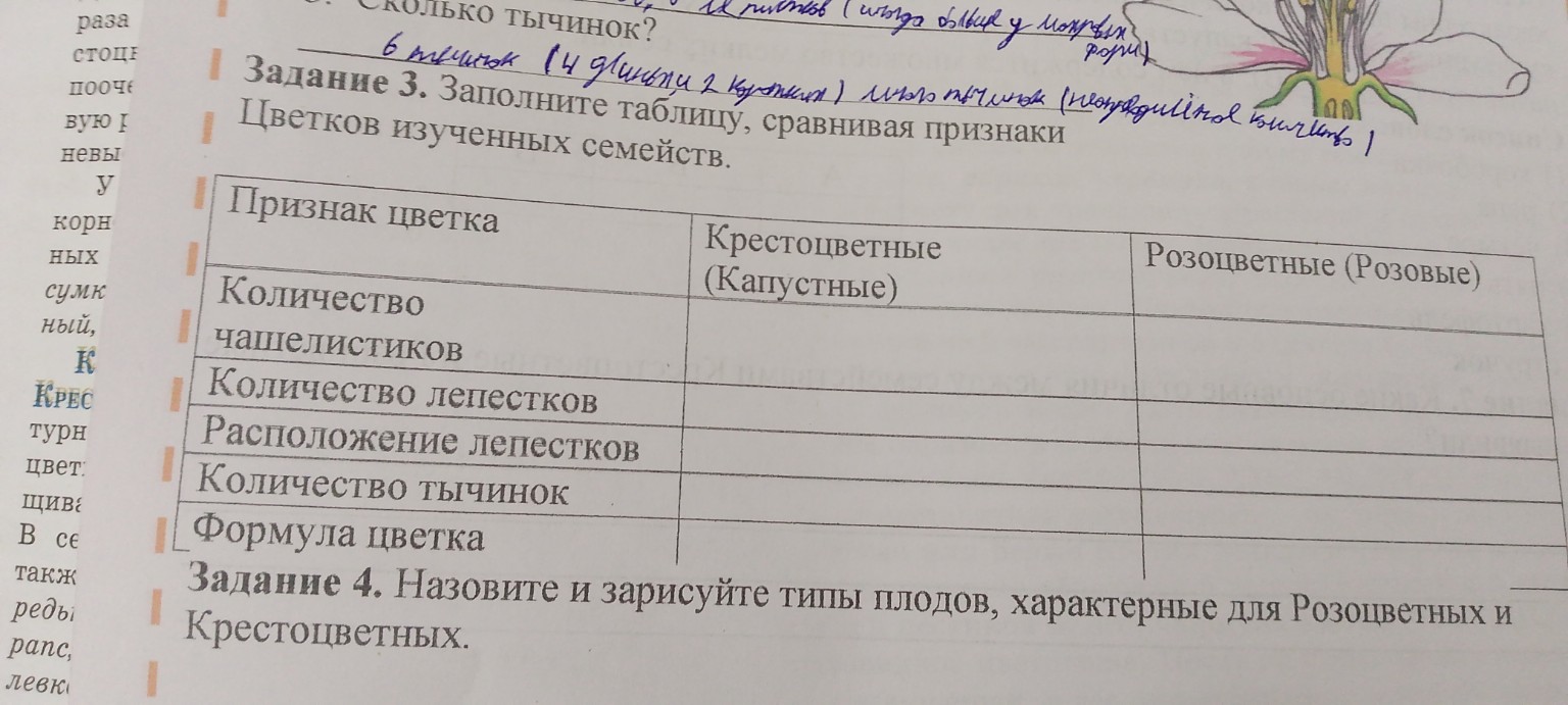 Изображение задачи: Реши задачу: Реши Реши задачу: Реши