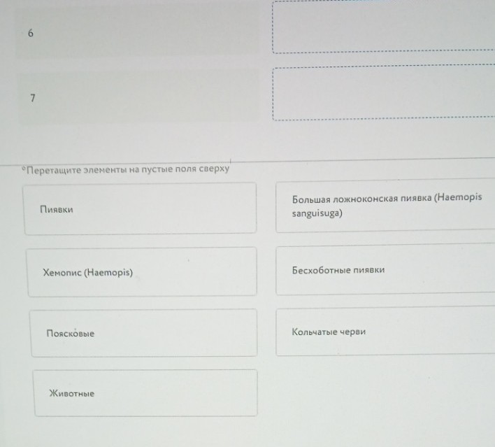 Изображение задачи: Вы уверены, что все задания выполнены, верно?  Реш