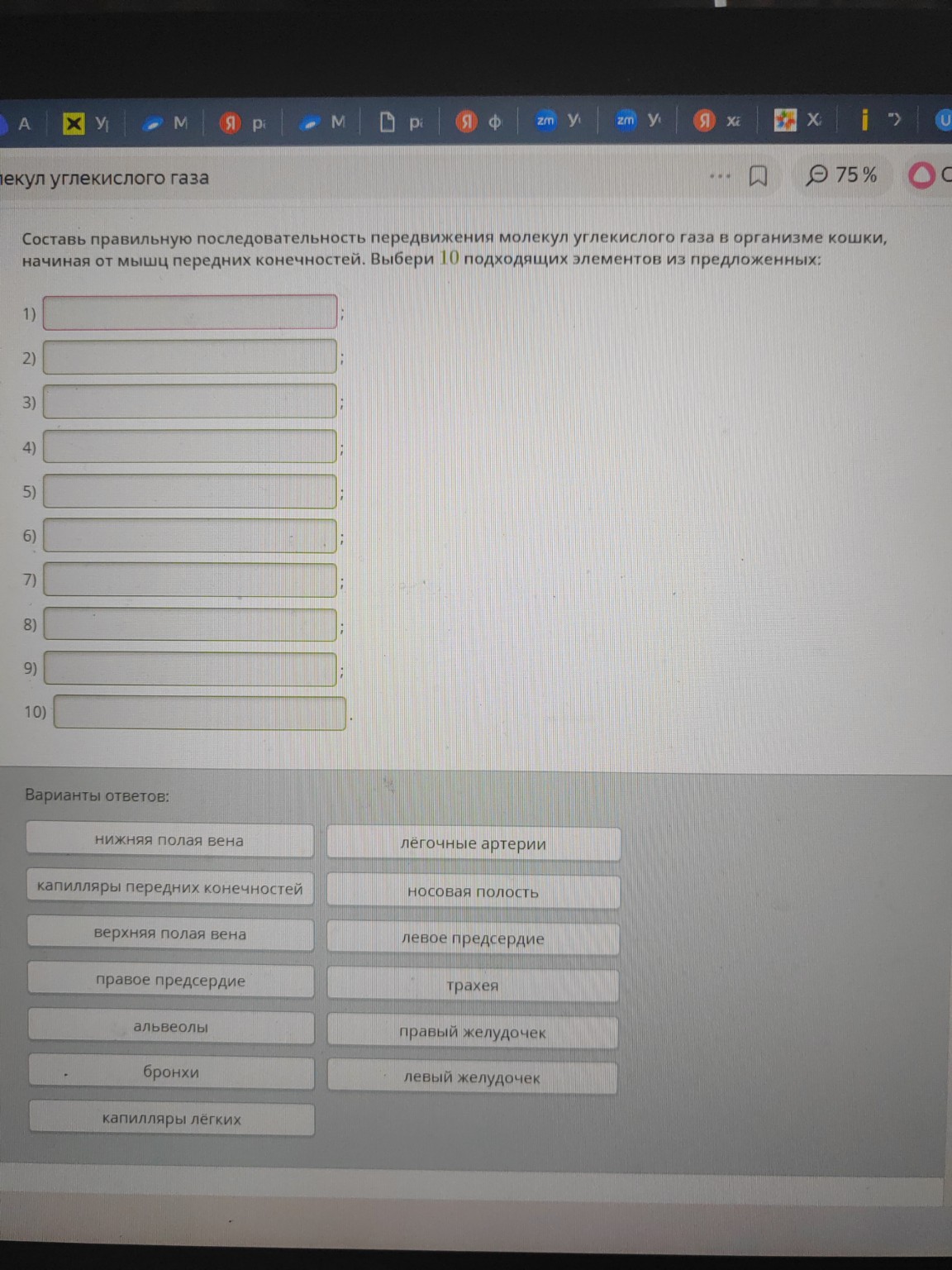 Изображение задачи: