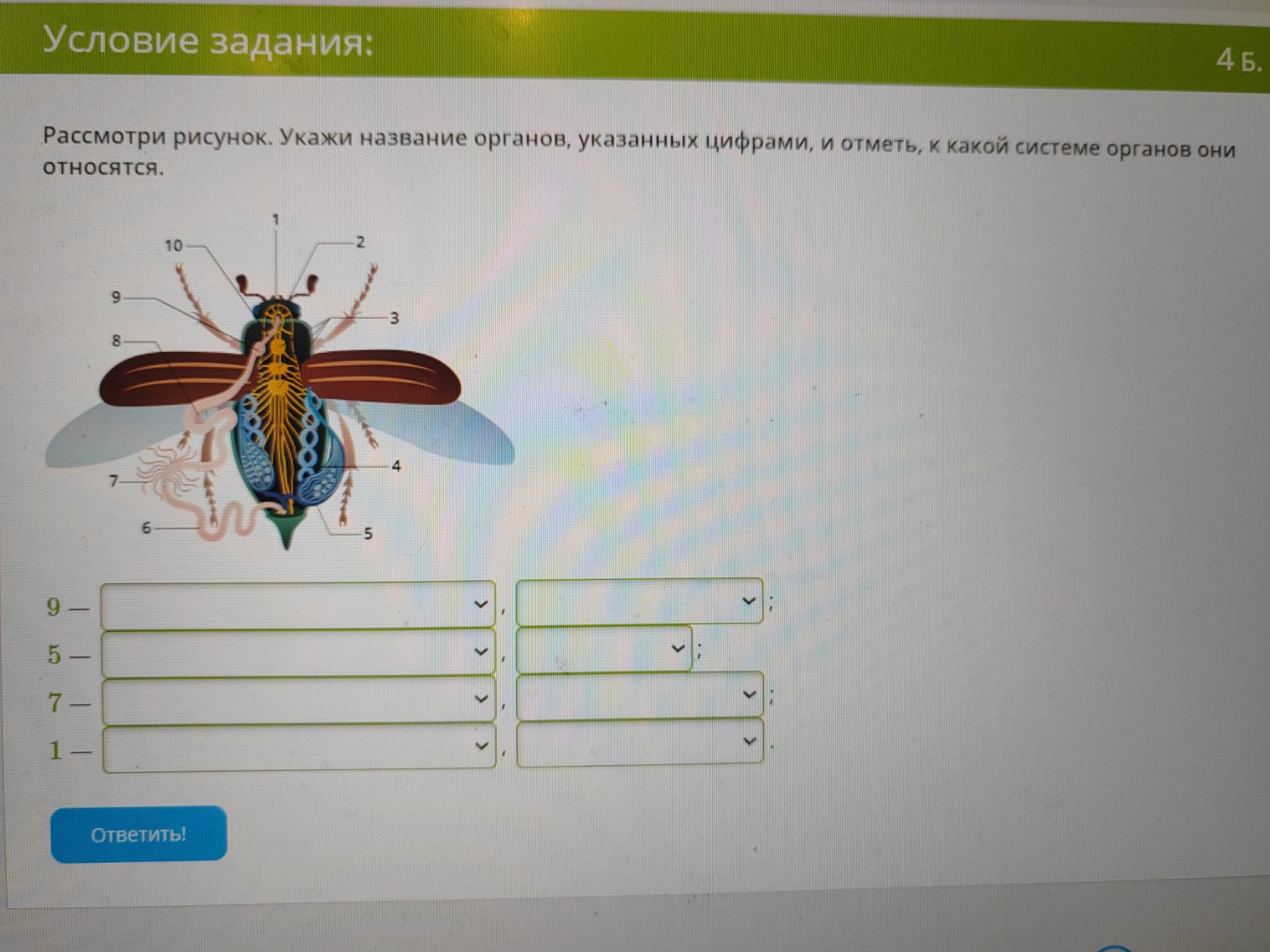 Изображение задачи: 