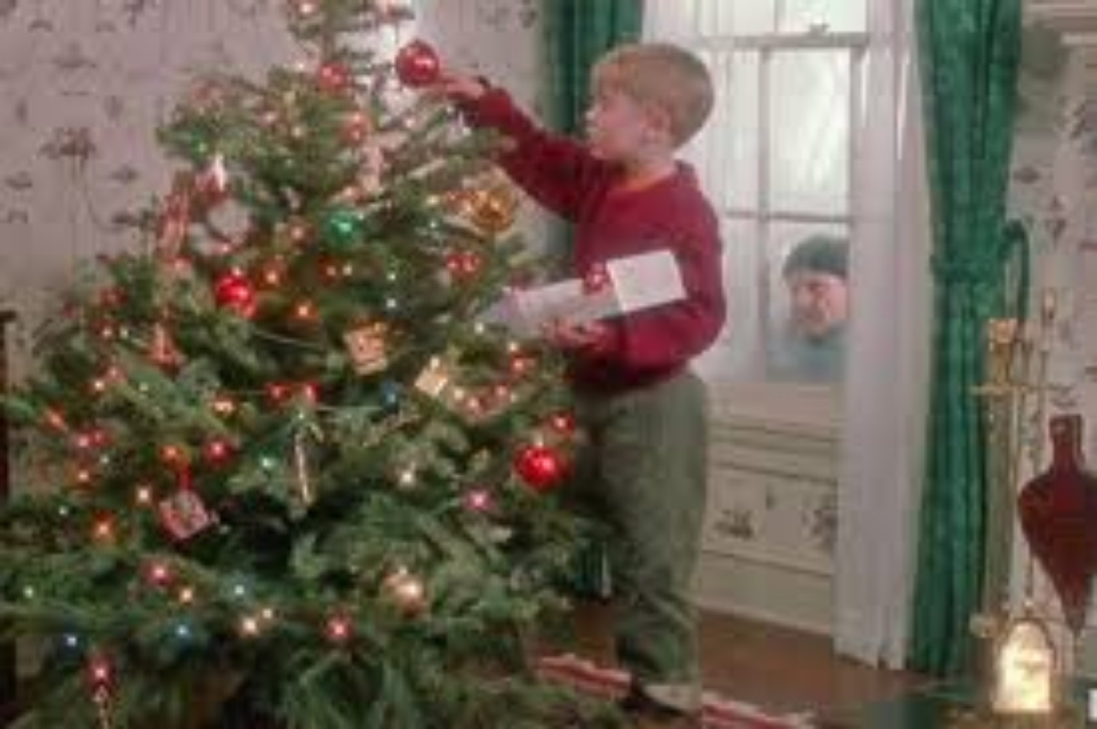 Изображение задачи: Реши задачу: Какой вид пихты на картинке или что э